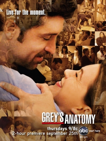 Анатомия страсти. 2 Сезон / Анатомия Грей / Grey's Anatomy (2005-2006)